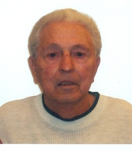 Vito A. Nettis, Sr.